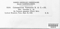 Coleosporium vernoniae image